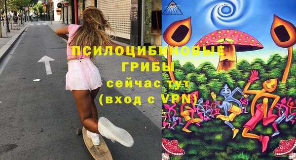 сатива Зеленодольск